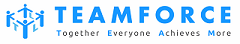 Teamforce Labour Ltd